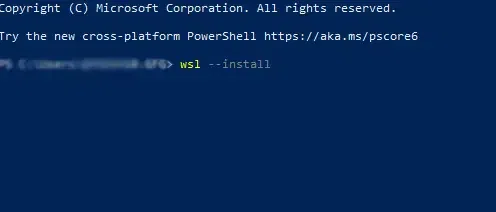 wsl91