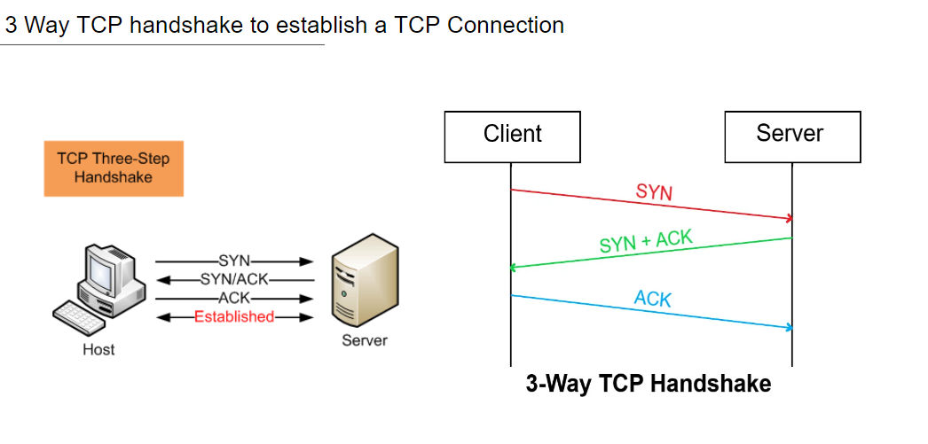 tcp